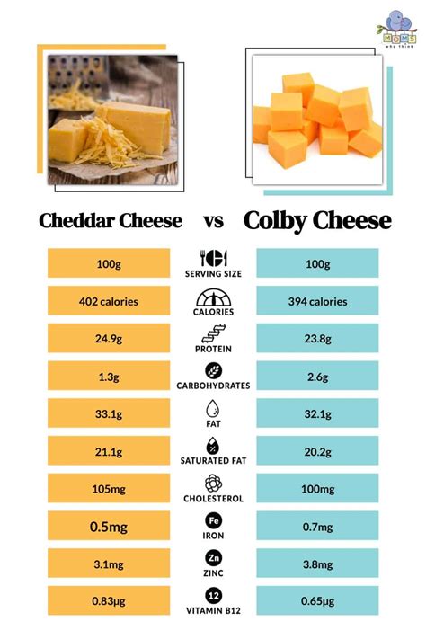 What Does Colby Jack Cheese Taste Like