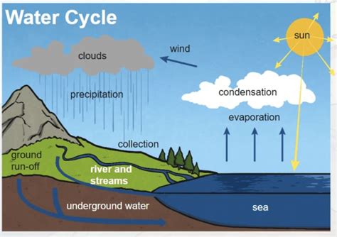 what does condensation mean in water cycle