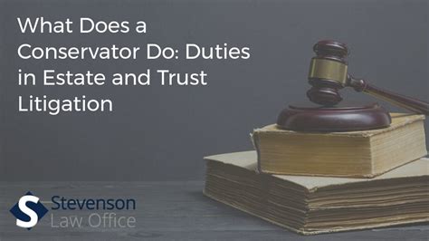 what does conservator of my estate mean