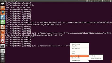what does curl do in bash