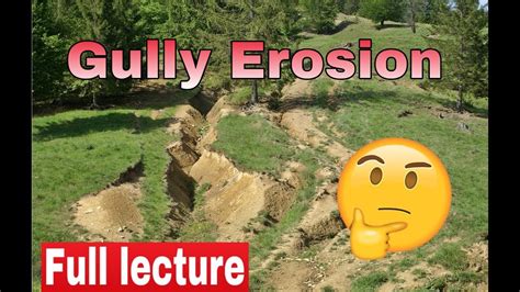 What Does Deep Gully Mean