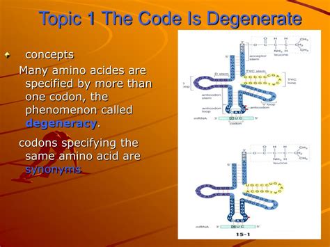 what does degenerate code mean