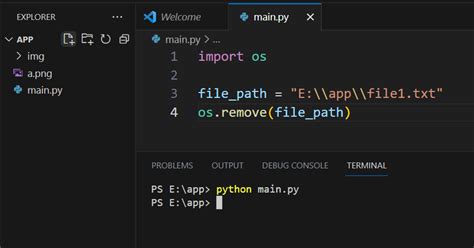 what does delete function do in python