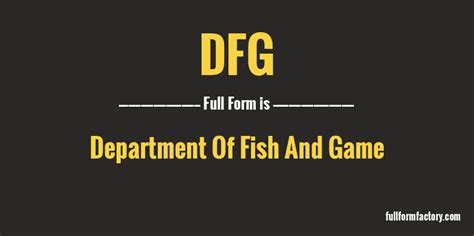 what does dfg mean