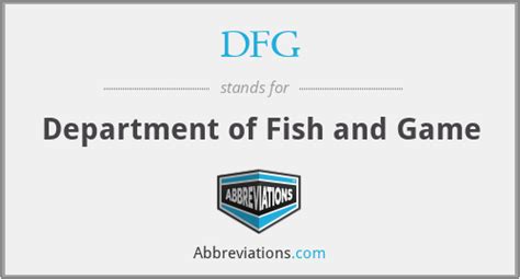 what does dfg stand for