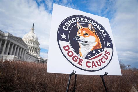 what does doge stand for in the united states government