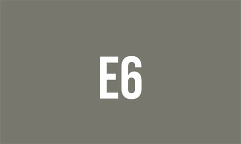 What Does E6 Do