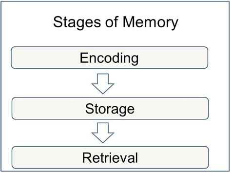 what does encoding in memory processing involve