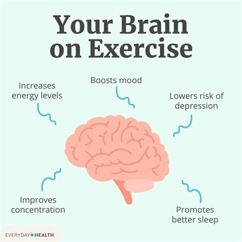 what does exercise release in your brain