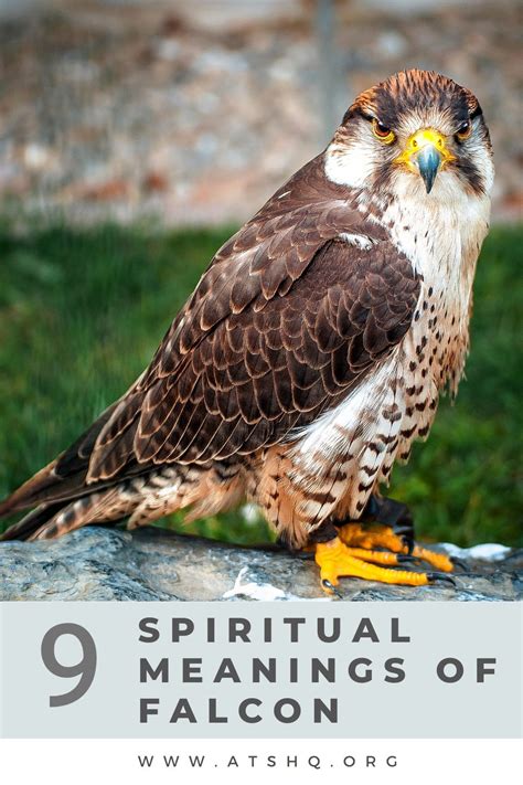 what does falcon symbolize