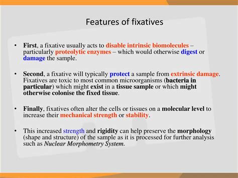 What Does Fixative Mean