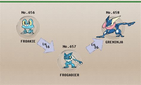 what does greninja evolve into