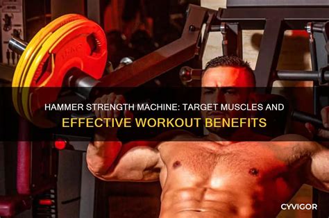 What Does Hammer Strength Work