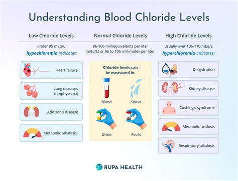 Understanding Your Test Results: What Does High Chloride Mean for Your Health?