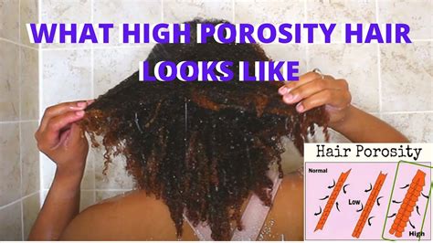  79 Popular What Does High Porosity Hair Look Like Trend This Years