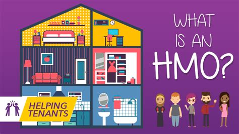 what does hmo stand for in property