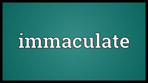 what does immaculate means