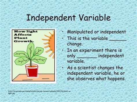 what does independent variable mean in science
