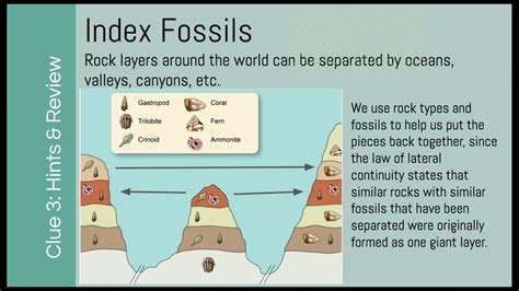 What Does Indicator Fossils Mean