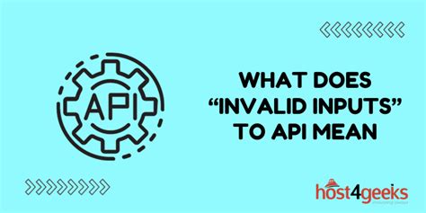 what does invalid api parameter mean