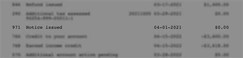 what does irs transcript code 971 mean