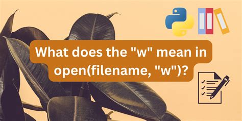 What Does It Mean By W