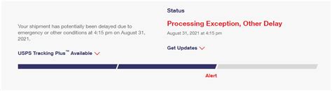 What Does It Mean Processing Exception Other Delay