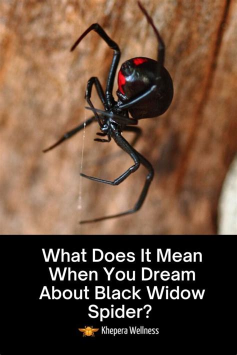 What Does It Mean To Dream Of A Spider In A Clock
