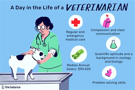 what does it mean to vet