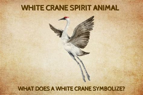 What Does It Mean When A Crane Is In Your Yard