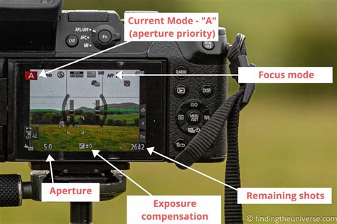 what does it mean when camera is mirrorless