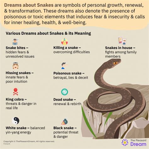 What Does It Mean When You Dream About Snakes In Your Bedroom