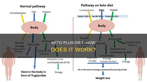 What Does Keto Plus Do