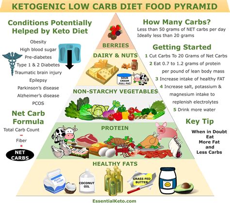 What Does Ketogenic Mean