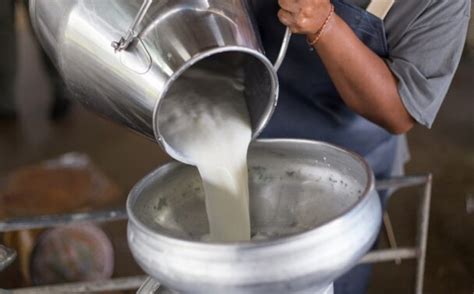 What Does La Leche Mean