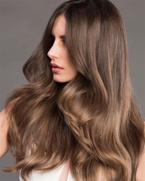  79 Stylish And Chic What Does Light Brown Hair Color Look Like Trend This Years