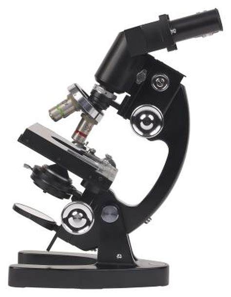 What Does Light Microscope Used To Magnify The Objects