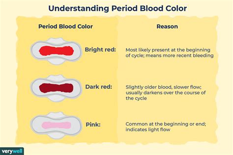 What Does Light Period Mean