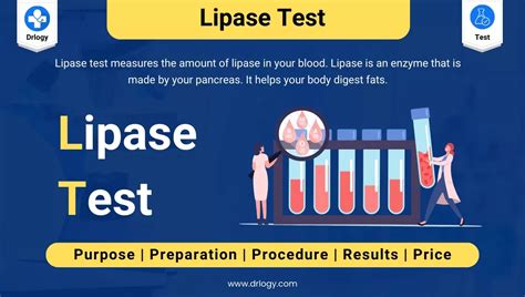 What Does Lipase Test Measure