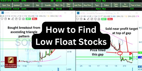 What Does Low Float In Stocks Mean