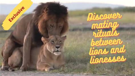 What Does Mating Mean Mean