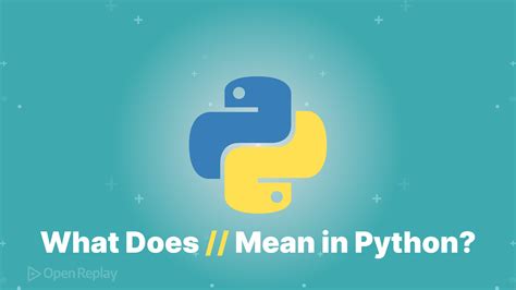 What Does Mean Python