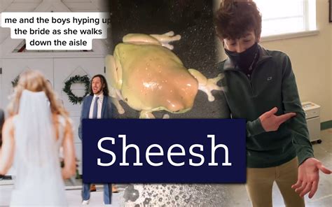 What Does Mean Sheesh