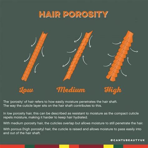 Unique What Does Medium Hair Porosity Mean Trend This Years