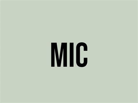 What Does Mic Mean Reddit