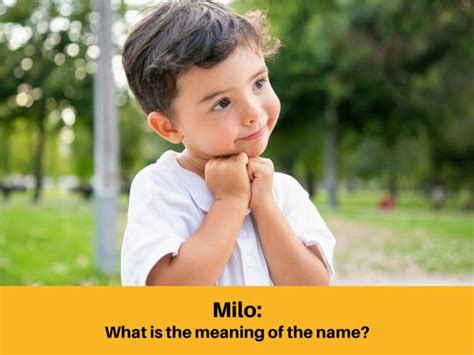 What Does Milo Mean In Hebrew