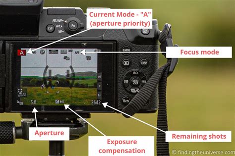 what does mirrorless mean in a camera