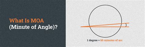 What Does Moa Stand For