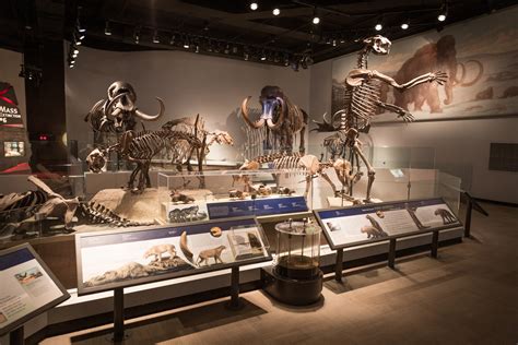 What Does Museum Mean