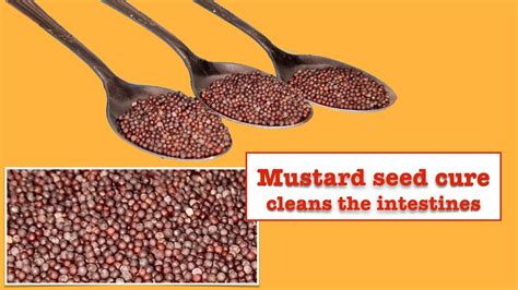 What Does Mustard Cure